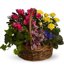 Blooming Garden Basket from McIntire Florist in Fulton, Missouri